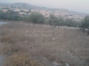 أرض في البارحه أبان قرب مسجد أبان بن عثمان - 55,000 دأ - صورة NaN