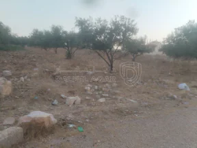 أرض في البارحه أبان قرب مسجد أبان بن عثمان - 55,000 دأ - صورة NaN