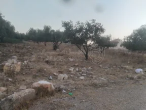أرض في البارحه أبان قرب مسجد أبان بن عثمان - 55,000 دأ - صورة NaN