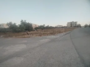 أرض في البارحه أبان قرب مسجد أبان بن عثمان - 55,000 دأ - صورة NaN