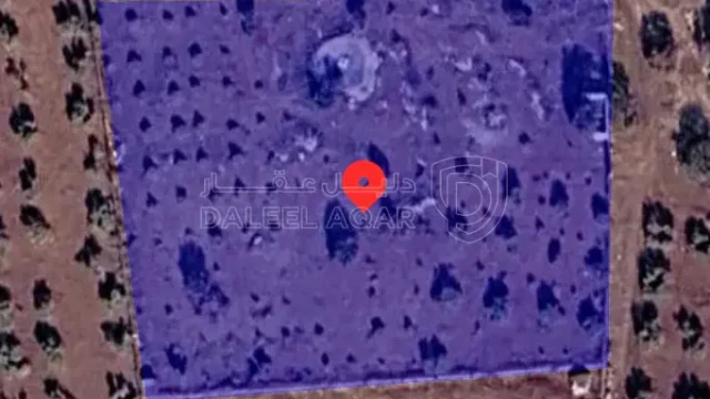 أرض في اربد لواء بني كنانه الرفيد - 42,000 دأ - صورة 1