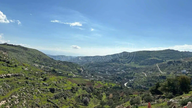 أرض في ارض للبيع في السلط الزعتري  - 60,000 دأ - صورة 1