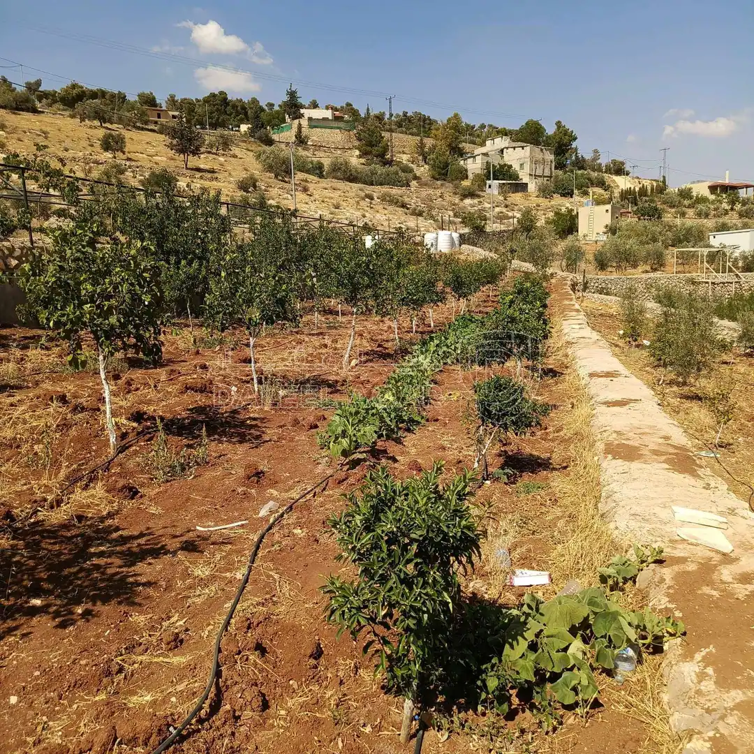 مزرعة/شاليه في نادرة - 130,000 دأ - صورة 1