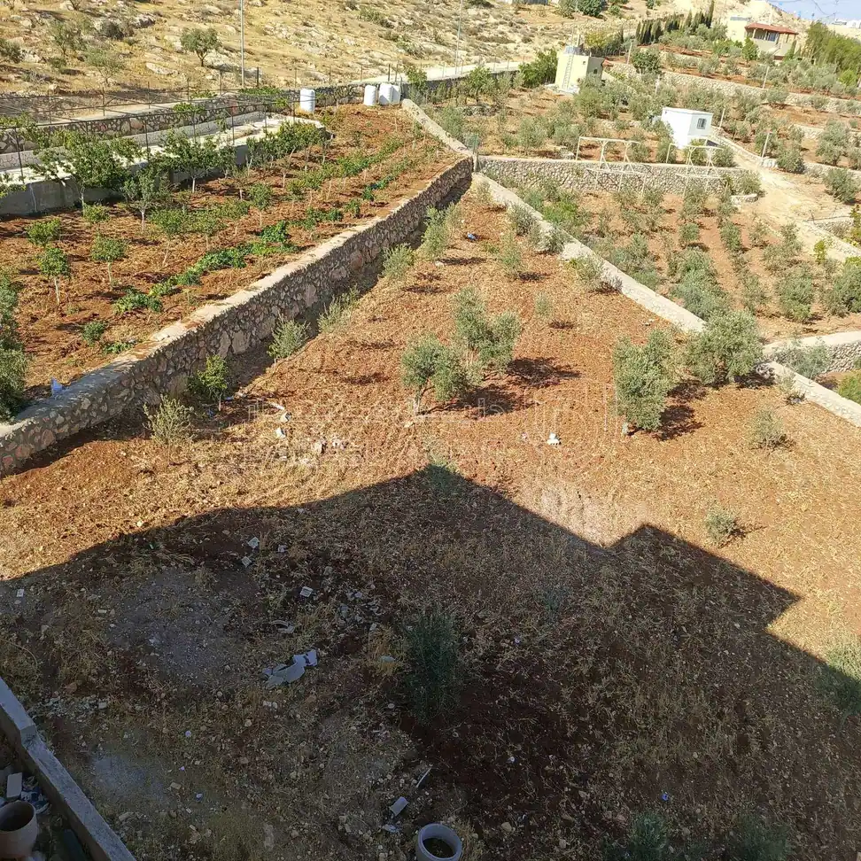 مزرعة/شاليه في نادرة - 130,000 دأ - صورة 1