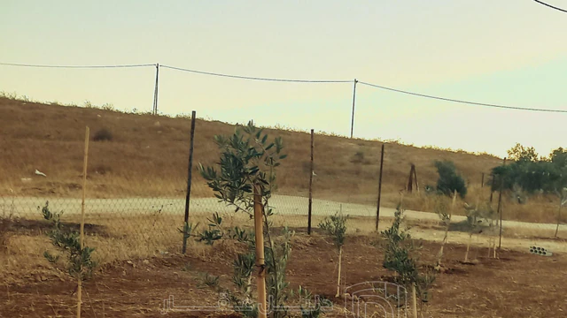 أرض في المفرق رحاب  - 9,000 دأ - صورة NaN