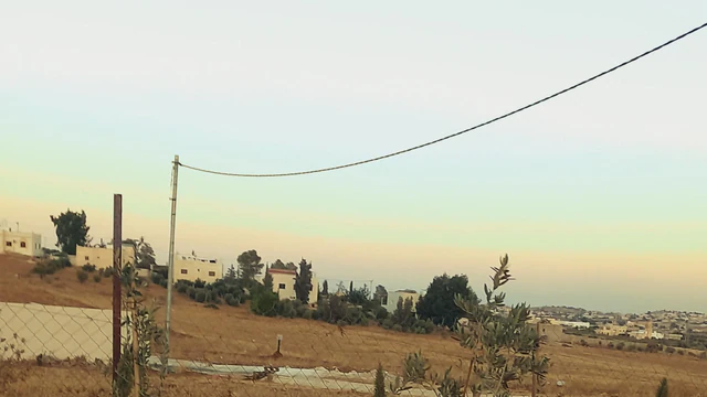 أرض في المفرق رحاب  - 9,000 دأ - صورة NaN