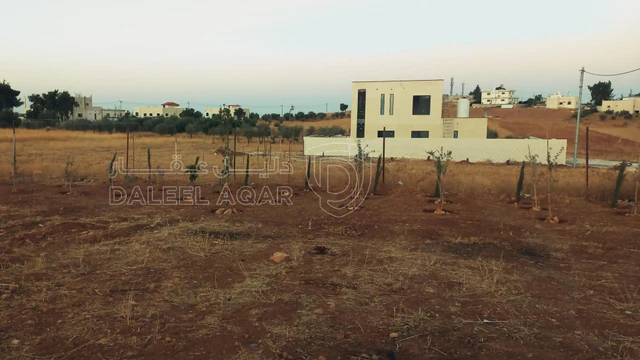 أرض في المفرق رحاب  - 9,000 دأ - صورة NaN