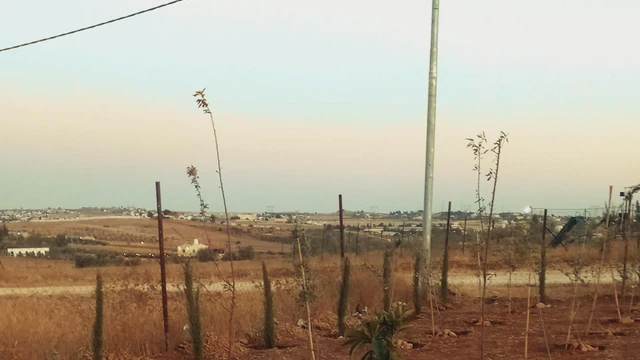 أرض في المفرق رحاب  - 9,000 دأ - صورة NaN