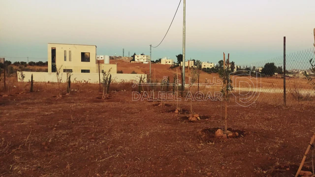 أرض في المفرق رحاب  - 9,000 دأ - صورة NaN