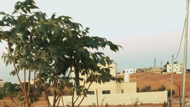 أرض في المفرق رحاب  - 9,000 دأ - صورة NaN