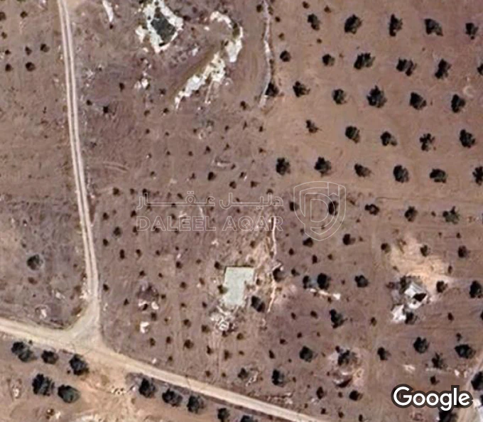 أرض في اربد  - 60,000 دأ - صورة 1