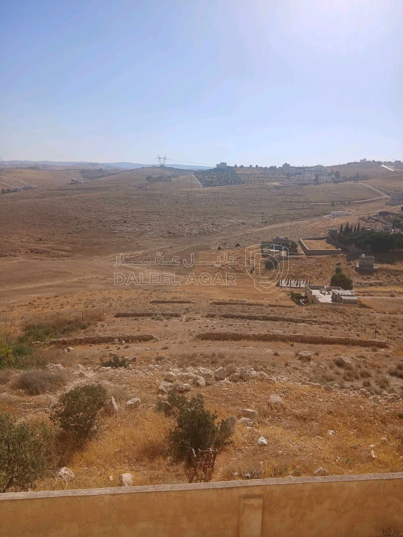 أرض في الزرقاء جريبا  - 436,450 دأ - صورة 3
