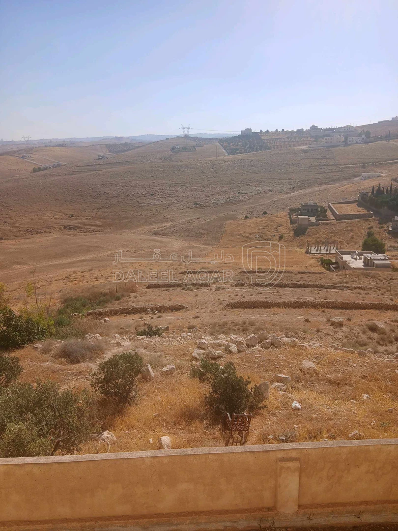 أرض في الزرقاء جريبا  - 436,450 دأ - صورة 4