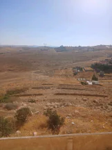 أرض في الزرقاء جريبا  - 436,450 دأ - صورة NaN