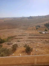 أرض في الزرقاء جريبا  - 436,450 دأ - صورة NaN