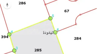 أرض - شارع الأميرة مقبولة - 110000 دأ