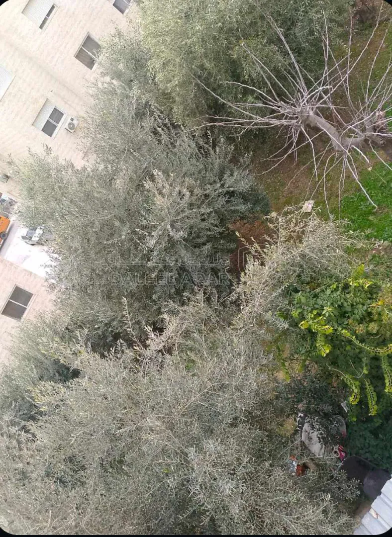 مبنى في عمان المقابلين ام قصير - 260,000 دأ - صورة 3