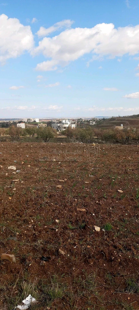 أرض في اربد بشرى حوض العدمه - 37,000 دأ - صورة 1