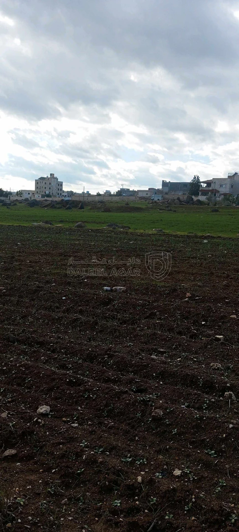أرض في اربد بشرى حوض العدمه - 37,000 دأ - صورة 1