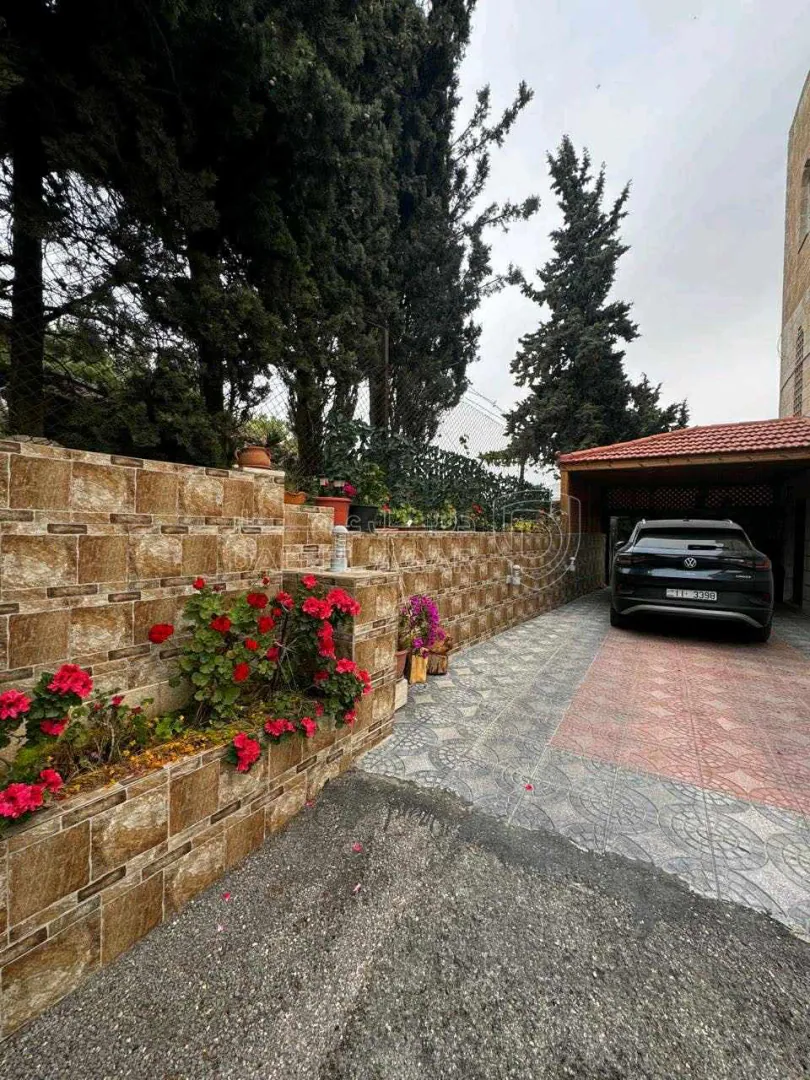 أرض في أرض سكنية تصنيف (أ) للبيع في السلط – البحيرة - 90,000 دأ - صورة 1