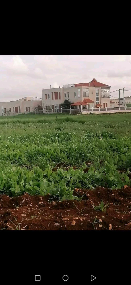 أرض في اربد اراضي الحصن طبول كوتيه رقم القطعه 666  - 70,000 دأ - صورة 1