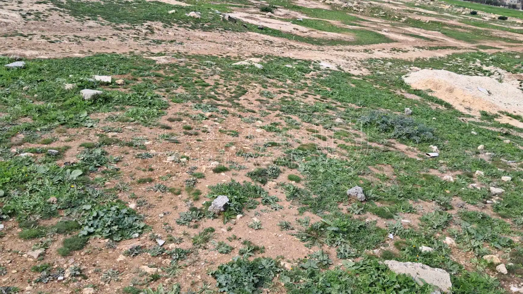أرض في قرية ابو نصير الشارع المؤدي الى معصرة البلقاء  - 65,000 دأ - صورة 1