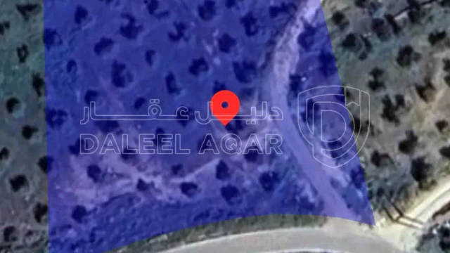 أرض في ارض زراعيه السلط الصبيحي  5 دونم - 48,000 دأ - صورة 1