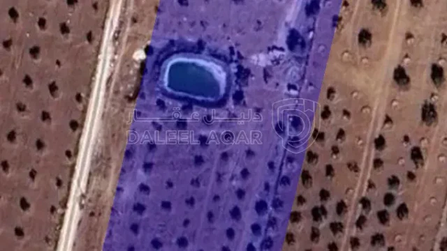 أرض - الرمثا  - 150000 دأ