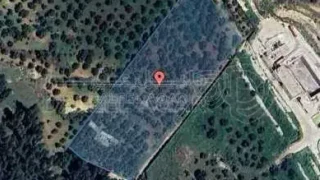 مزرعة/شاليه - جرش - ام الكتة  - 150000 دأ