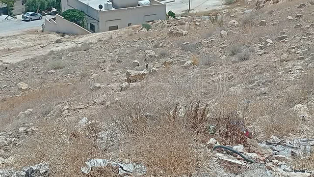 أرض في شومر . - 22,000 دأ - صورة NaN
