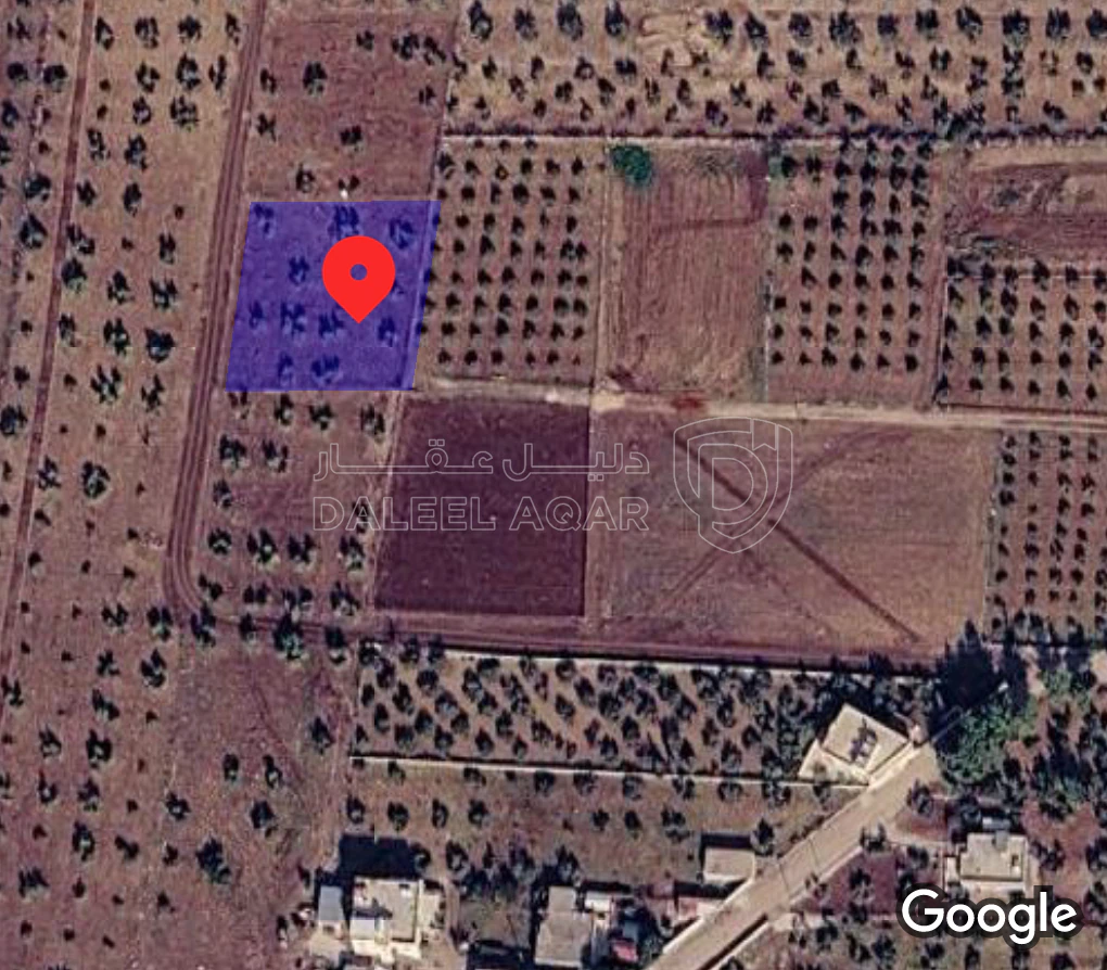 أرض في اربد لواء بني كنانه قرية كفرسوم حوض العراض  - 45,000 دأ - صورة 1