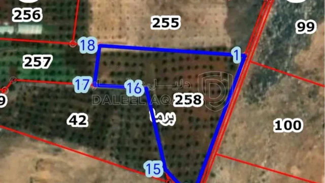 أرض في جرش برما مقابل مرتفعات السلط  - 80,000 دأ - صورة NaN
