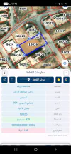 أرض - الزرقاء الجديده البتراوي الجنوبي - 87000 دأ