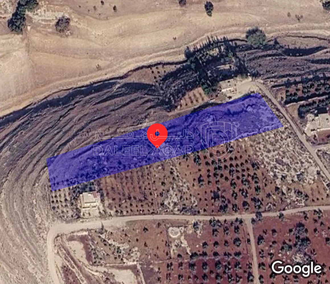 أرض في إربد لواء بني كنانة سما الروسان  - 155,000 دأ - صورة 1