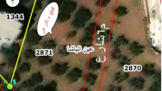 أرض في عين الباشا حي الامير علي  - 32,000 دأ - صورة 1