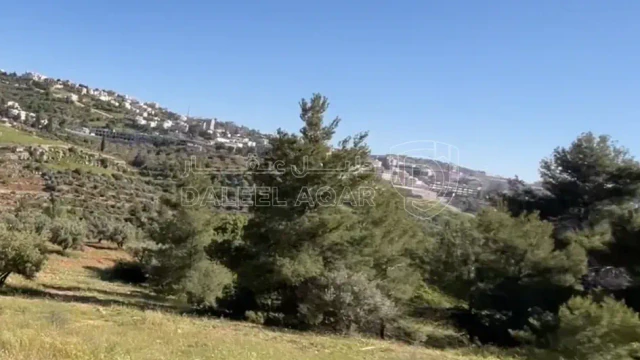 أرض - حمر الفحيص - 190000 دأ