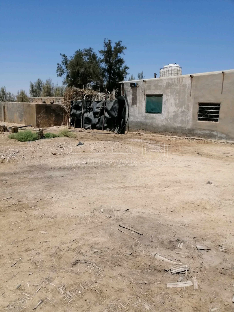 أرض في ارض للبيع والاستثمار في الأزرق الشمالي  - 82,500 دأ - صورة 4