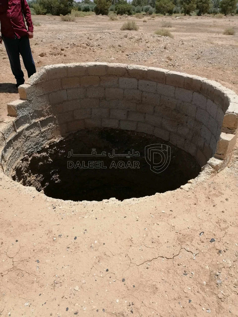 أرض في ارض للبيع والاستثمار في الأزرق الشمالي  - 82,500 دأ - صورة 3