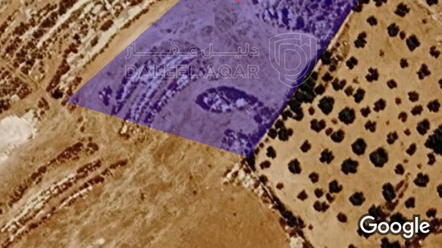 أرض - ناعور..العال والروضة .حوض ابو الغزلان - 150000 دأ