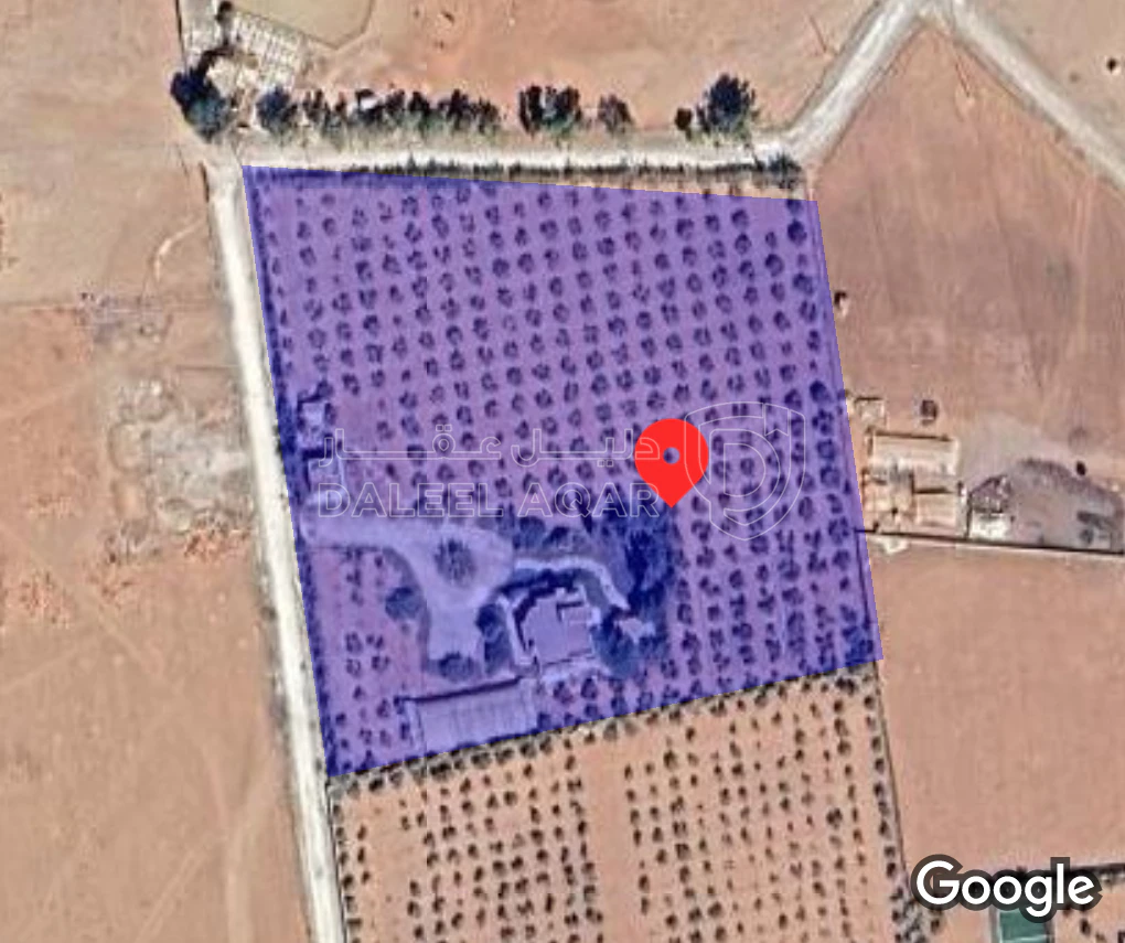 أرض في شارع مثقال الفايز .. مزرعة عنبتاوي - 220,000 دأ - صورة 1