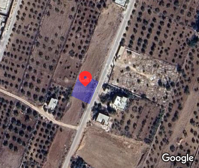 أرض في لواء المزار الشمالي قرية حبكا  - 20,600 دأ - صورة 1