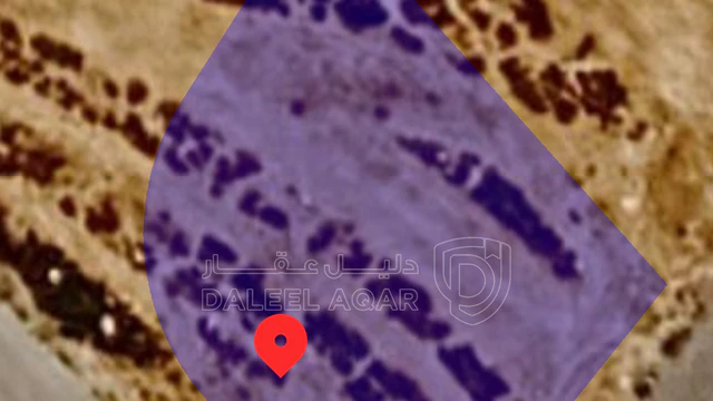 أرض - مرج الحمام حوض الحويطي٩  - 250000 دأ