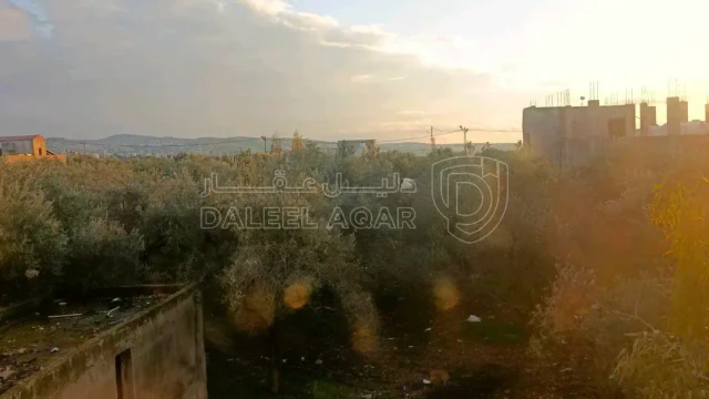 أرض في اربد الطيبه المربعه - 70,000 دأ - صورة 1