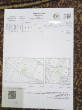 أرض في عمان - اراضي جنوب عمان - قرية نافع  - 95,000 دأ - صورة NaN