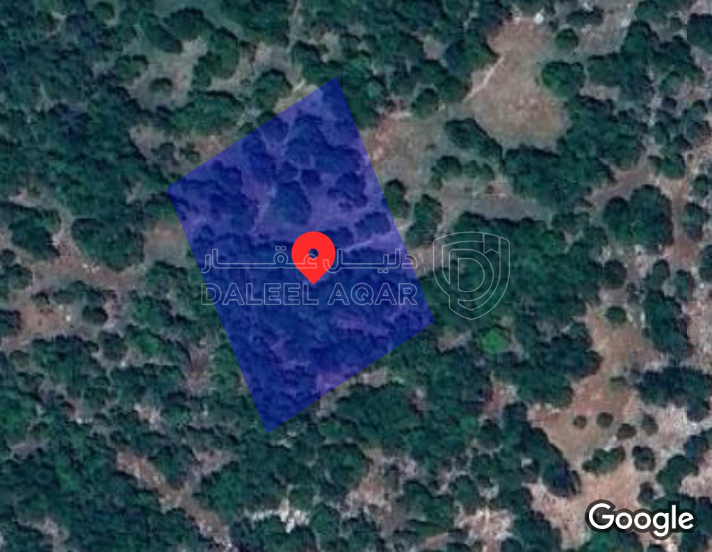 أرض في دير ابي سعيد منطقة غابات برقش - 27,000 دأ - صورة 1