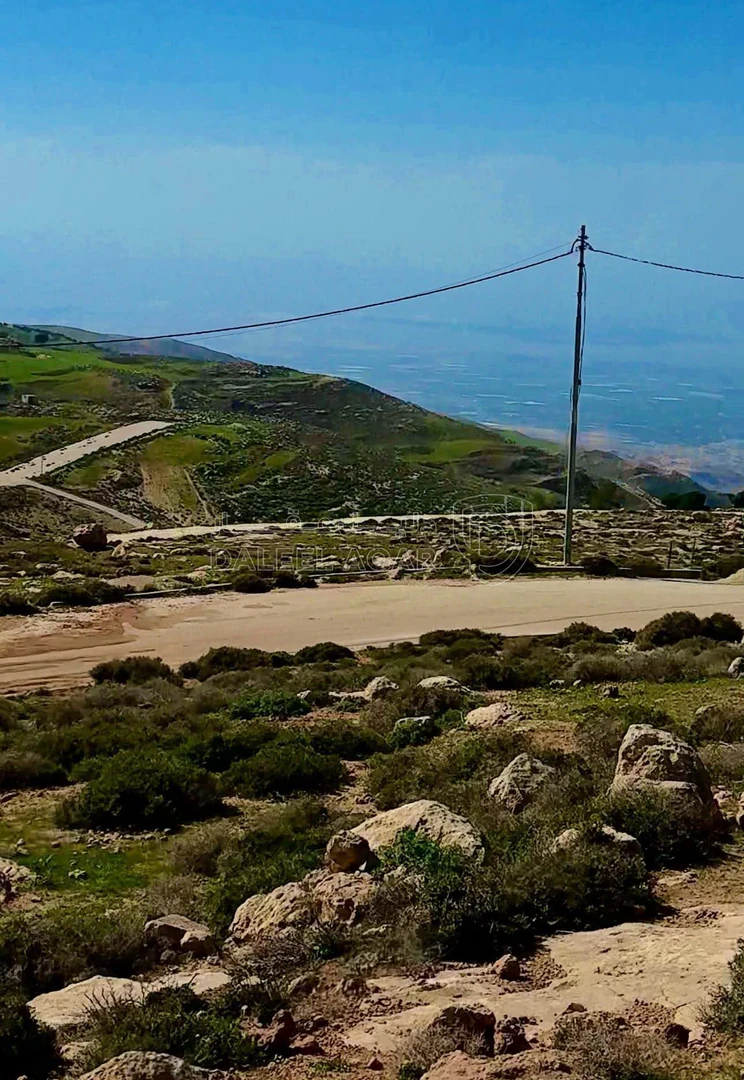 أرض في خلف الجامعة الالمانية - 30,000 دأ - صورة 1