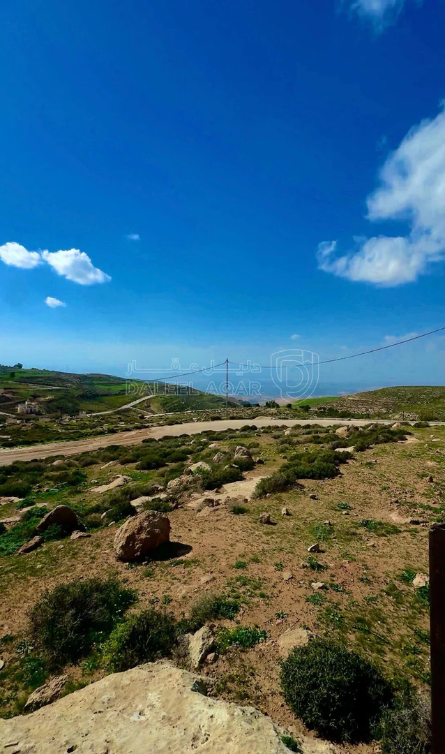 أرض في خلف الجامعة الالمانية - 30,000 دأ - صورة 1