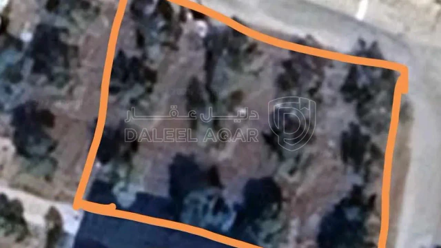 أرض - حوارة شمال كلية نسيبة المازنية  - 67000 دأ