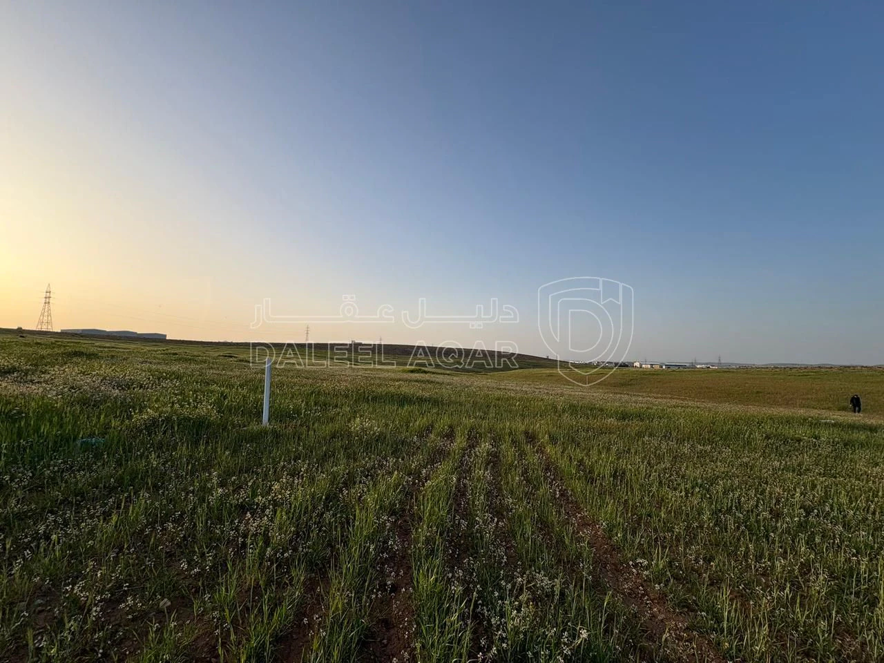 أرض في قطعة أرض استثمارية مميزة للبيع في الرمثا - 24,000 دأ - صورة 1