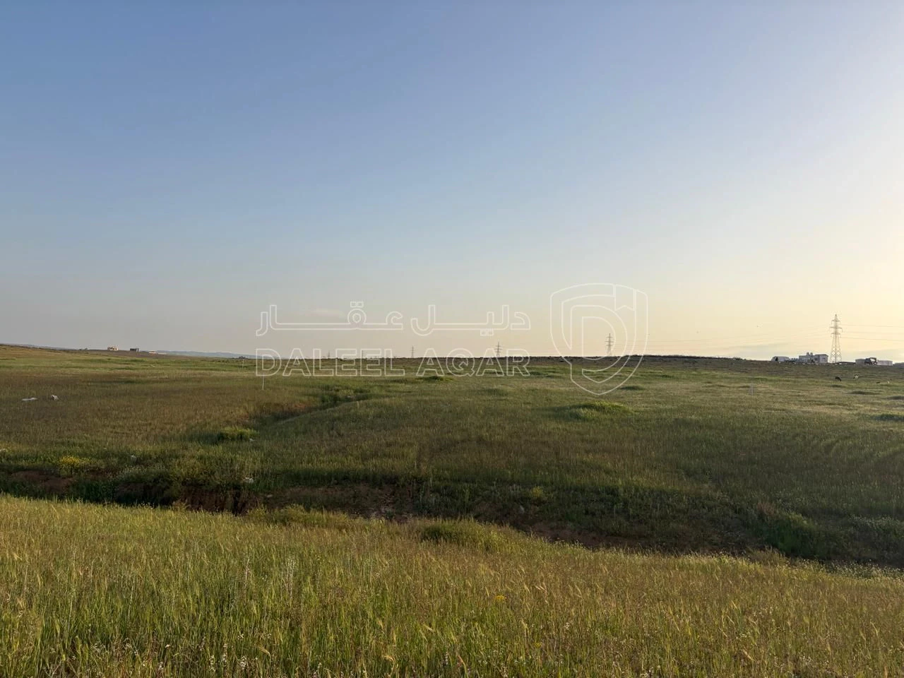 أرض في قطعة أرض استثمارية مميزة للبيع في الرمثا - 24,000 دأ - صورة 1